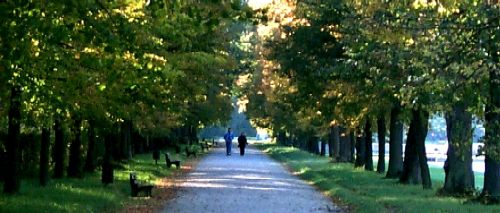 An alley in the park