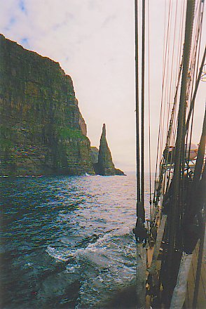 Picture of a needle shaped rock under some bird cliffs