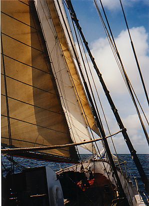 Picture of the inner and outer Jib as well as the staysail on a tall ship