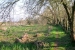 Preview Cotswolds Canal