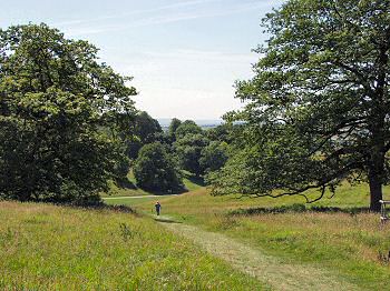 Picture of a path through Dyrham Park