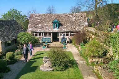 Another view over the organic garden