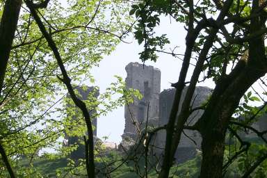 Picture of Corfe Castle seen through some trees