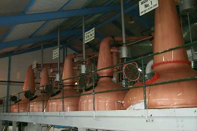 Picture of whisky stills at Laphroaig distillery