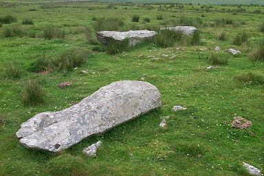 Picture of fallen standing stones