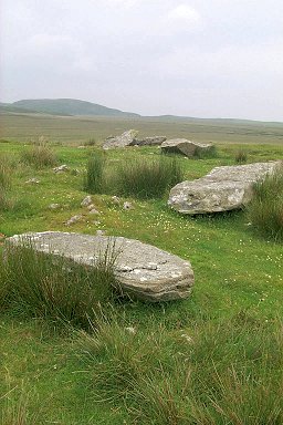 Picture of several fallen over standing stones