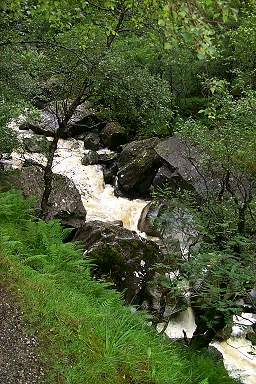 Picture of a view into a gorge, water rushing over rocks and boulders