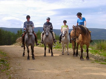 Picture of four riders on their horses