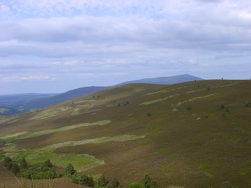 Picture of hills covered in heather