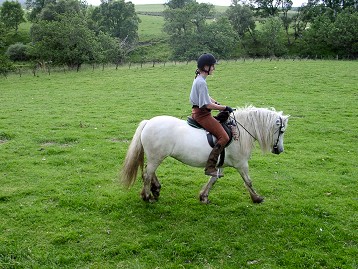 Picture of a young woman on a pony