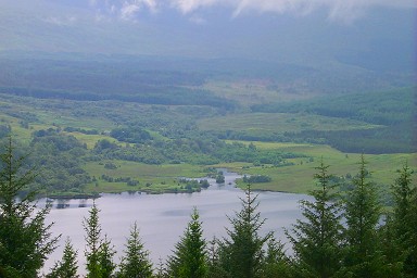 Picture of a loch (lake) seen through some trees