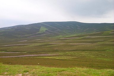 Picture of hills covered in heather