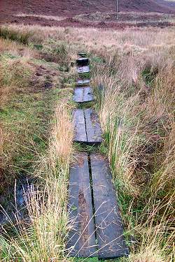 Picture of planks creating a path leading over some moorland
