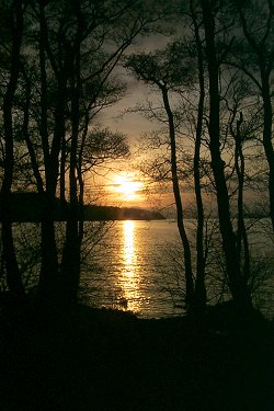 Picture of a sunset over Loch Lomond behind some trees
