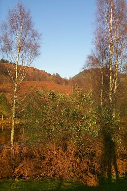 Picture of a view towards the hills behind the visitor centre