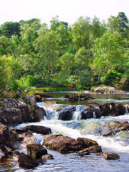 Picture of rapids