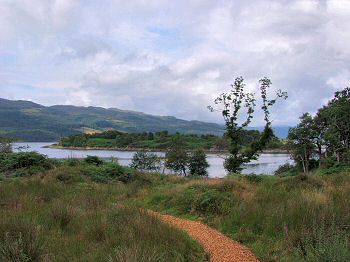 Picture of a view over Loch Sunart