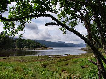 Picture of the Bay of Flies