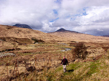 Picture of a walker near Corran Bridge