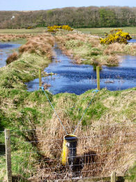 Picture of a pipe used to control the water levels