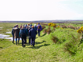 Picture of walkers walking along the sea wall