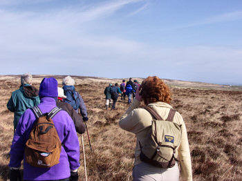 Picture of walkers on the reserve