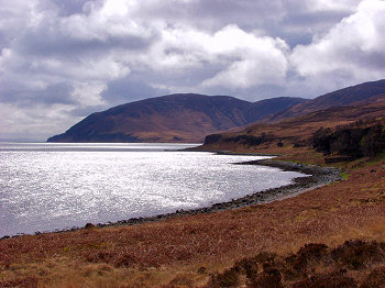 Picture of the view south along the shore