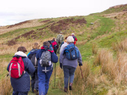 Picture of walkers on their way up a hill