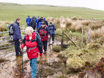 Picture of walkers going through gate