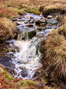 Picture of a burn somewhere near Proaig