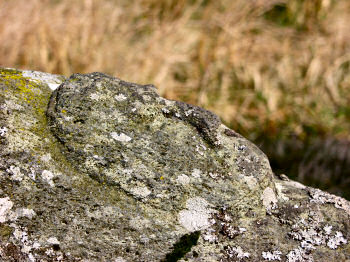 Picture of a carved face