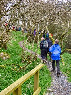 Picture of walkers walking up hill through trees
