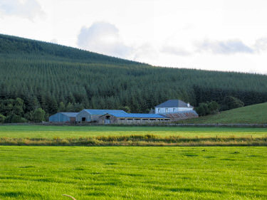 Picture of Homeston Farm