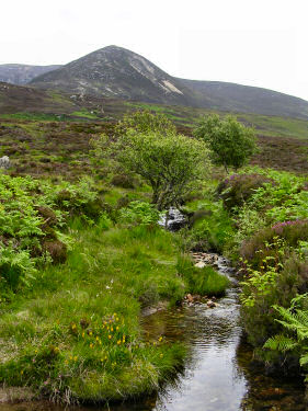 Picture of a burn with Meall Biorach in the background