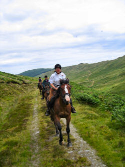 Picture of horses galloping