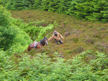 Picture of a horse and a dismounted rider in the heather