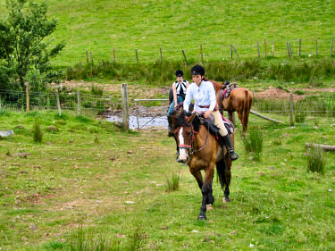 Picture of riders having passed a gate