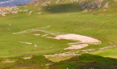 Picture of the fish drawing