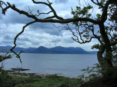 Picture of the view to Arran from the oak woods