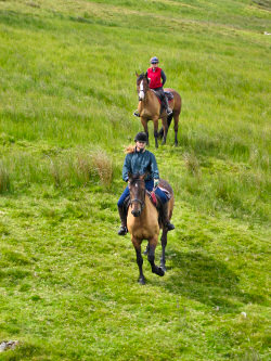 Picture of two riders riding down a hill