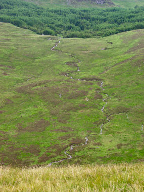 Picture of a burn meandering through peat bogs