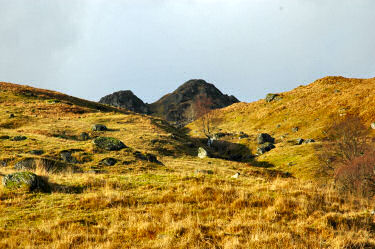 Picture of hillside with a burn