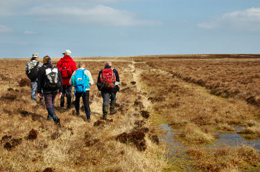 Picture of walkers on the moor