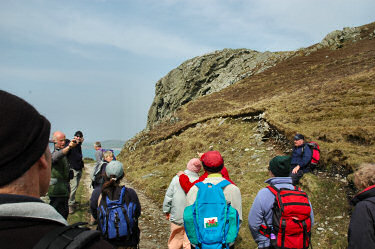 Picture of walkers listening to people pointing out things