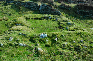 Picture of the overgrown ruins of a cottage