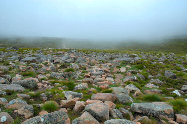 Picture of a path leading into clouds