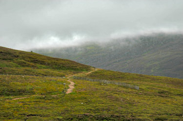 Picture of a path with clouds hanging over it