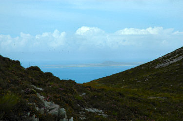 Picture of an island visible through a bealach