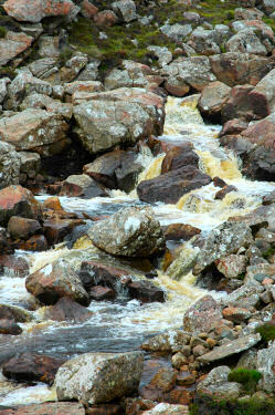 Picture of a burn cascading over rocks