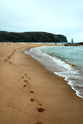 Picture of footprints along a beach, cliffs in the distance